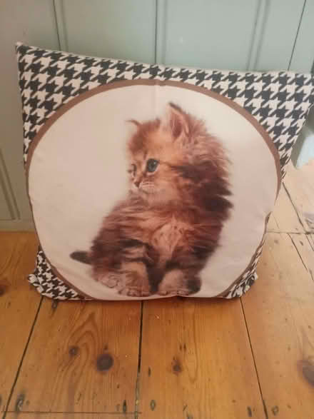 Photo of free Kitten cushion (Lewes (near Prison) BN7) #1