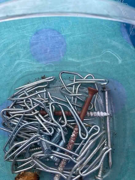 Photo of free Curtain hooks (Foothill Boulevard Cupertino) #1