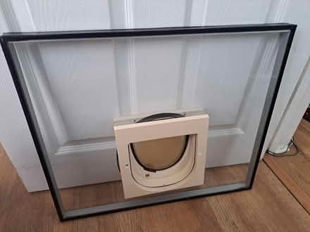 Photo of free Double Glazed Unit with Cat Flap (Horsham RH13) #3