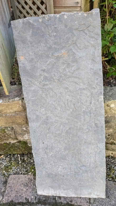 Photo of free Fossilized stone slab (Ilkley LS29) #1