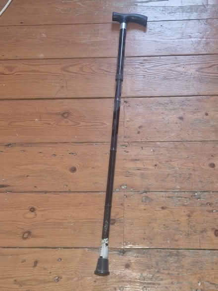 Photo of free Walking stick (Forest Gate E7) #1