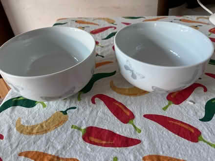 Photo of free 2 bowls with butterfly design (WR2 St Johns) #1