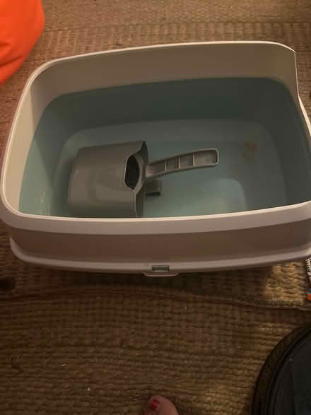 Photo of free Cat litter tray and scoop (Brockley SE4) #2