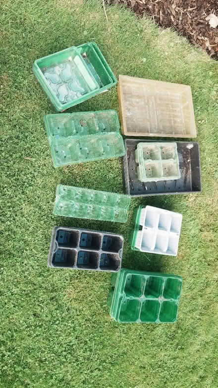 Photo of free Plant trays (Stockport SK2) #1
