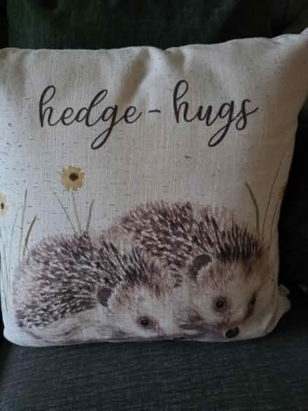 Photo of free 3 cushions (Stonehouse GL10) #1