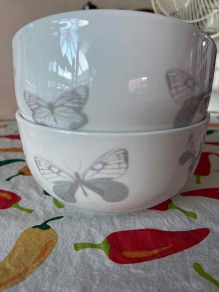 Photo of free 2 bowls with butterfly design (WR2 St Johns) #2