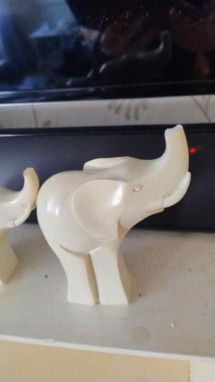 Photo of free Elephants (Chorley centre PR7) #2