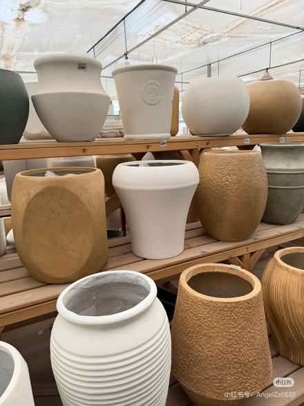 Photo of large plants pot (NG1) #1