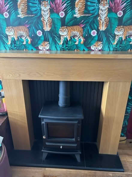 Photo of free Electric fireplace (Lanchester) #2
