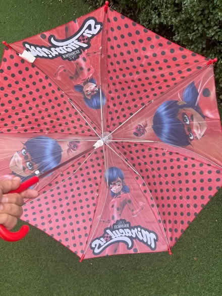 Photo of free Lady bug umbrella (West acton - W3) #2