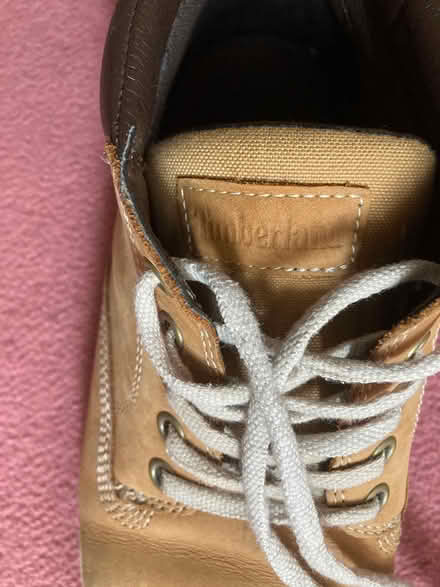 Photo of free UK7 timberland (Bookham KT23) #2