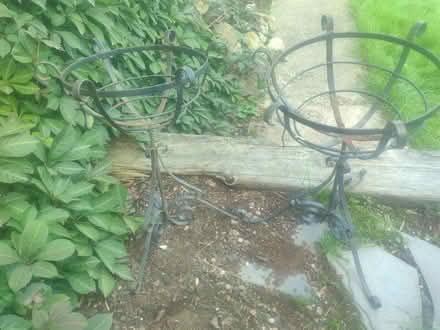 Photo of free metal plant holders x 2 (Sherwood NG5) #1