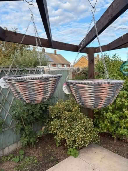 Photo of free Hanging Baskets - 2 (Widford CM1) #1