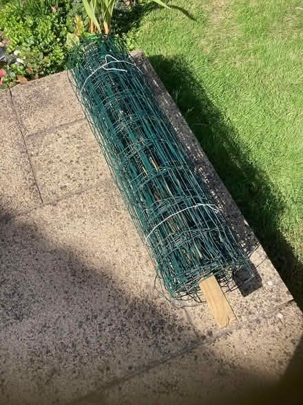 Photo of free wire fencing (Shenfield CM15) #1