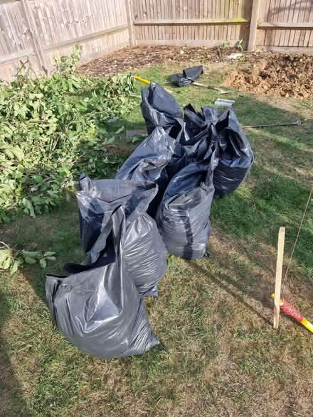 Photo of free Topsoil 30+ bags (Ashford TN24) #1