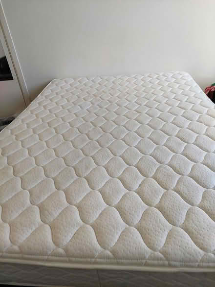 Photo of free Mattress and bed base (Hawthorn East) #1