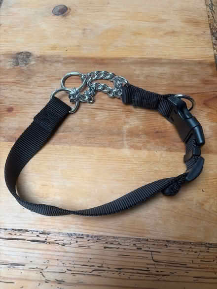 Photo of free Dog Collar (Tilehurst RG30) #1