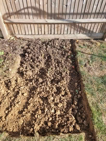 Photo of free Topsoil 30+ bags (Ashford TN24) #4