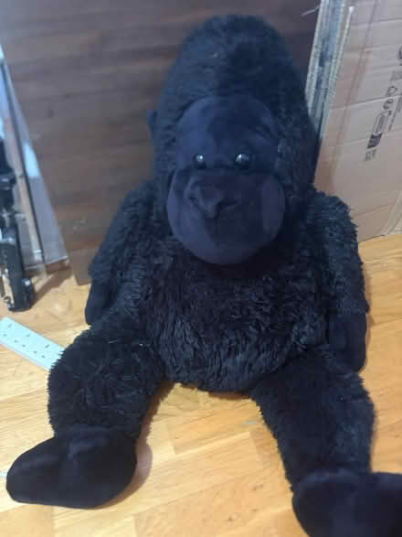 Photo of free Massive Gorilla Teddy (Rotherham S60) #1