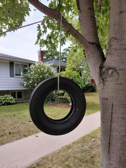 Photo of free Tire swing (Appleby/New Street, Burlington) #1