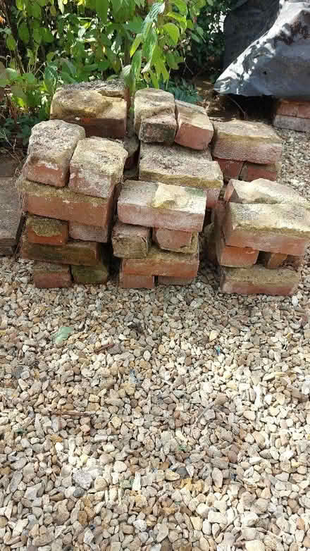 Photo of free Bricks (Flitton MK45) #1