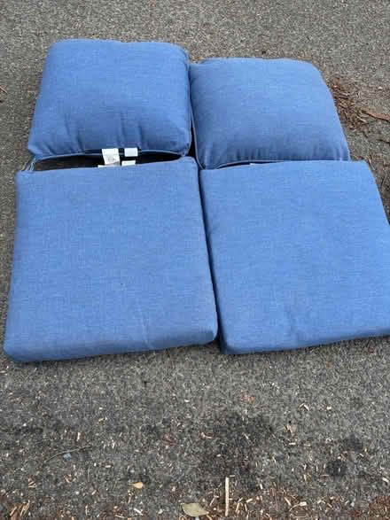 Photo of free Outdoor chair cushions (Petworth) #1