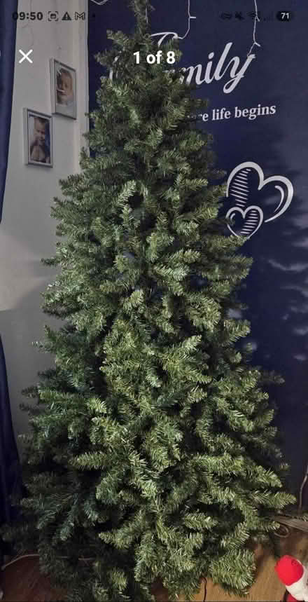 Photo of Christmas trees (Timperley) #1