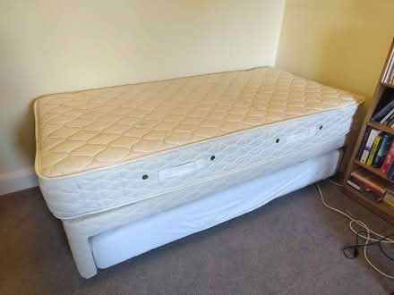 Photo of free Trundle bed (Oxford OX4) #1