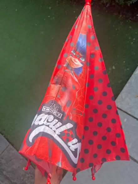 Photo of free Lady bug umbrella (West acton - W3) #1