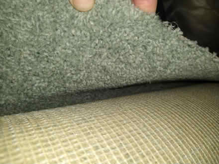 Photo of free Wool carpet offcuts new (High Heaton NE7) #4