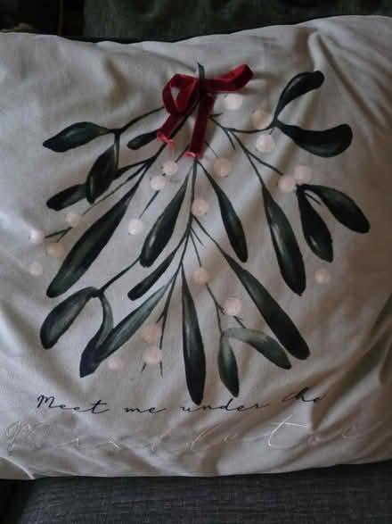 Photo of free 3 cushions (Stonehouse GL10) #2