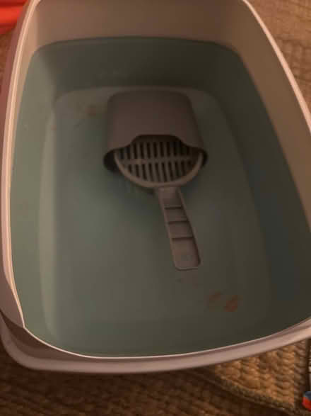 Photo of free Cat litter tray and scoop (Brockley SE4) #3