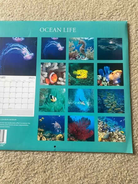 Photo of free 2025 wall calendar (Winston Churchill/collegeway) #2