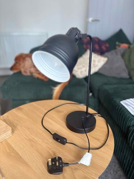 Photo of free Lamp (Kimberworth S61) #1