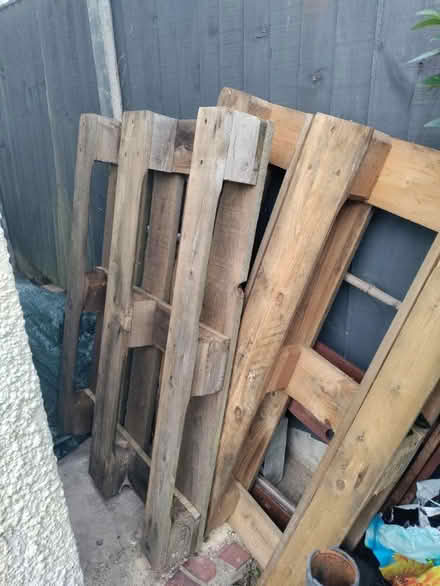 Photo of free pallets (Littleover DE23) #1