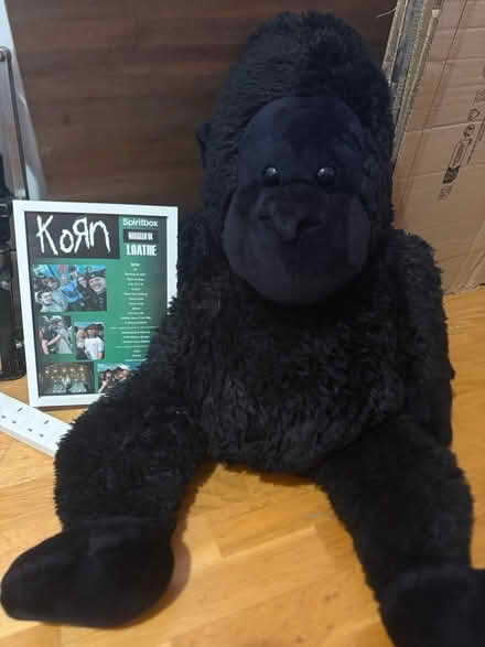 Photo of free Massive Gorilla Teddy (Rotherham S60) #2