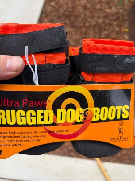Photo of free Dog boots (Spartan keyes) #1