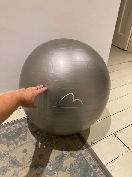 Photo of free Gym ball (Wallands Park BN7) #1