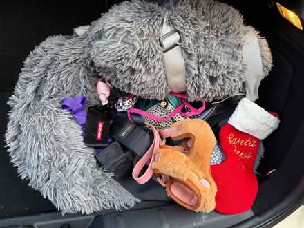 Photo of free Dog car bed, harnesses, leads etc (Walkley S6) #1