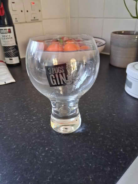 Photo of free Pug gin glasses (Wickford SS11) #1