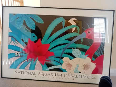 Photo of free framed poster (Near Mlacak Arena) #1