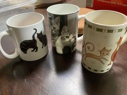 Photo of free Cat mugs (Bookham KT23) #1