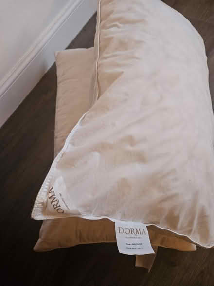 Photo of free Two pillows (fulwood PR2) #1