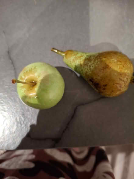 Photo of Apples and pears (Chaddesden DE21) #1