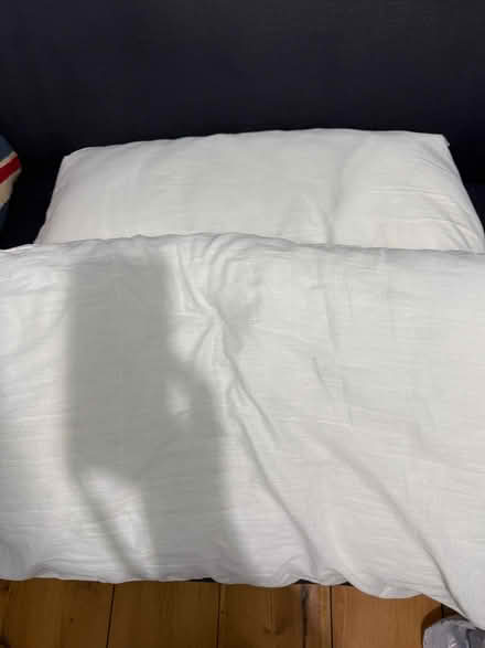 Photo of free Pillows - 2 (Ware SG12) #1