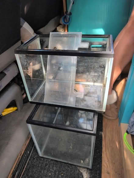 Photo of free 2x glass tanks (Winslow MK18) #1