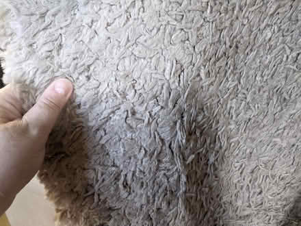 Photo of free large rug (Freehold LA1) #2