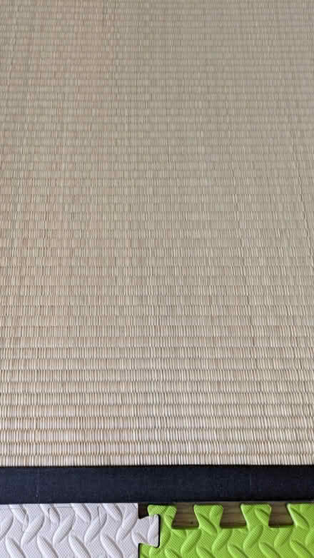 Photo of free Tatami Mat (Tolworth KT6) #1
