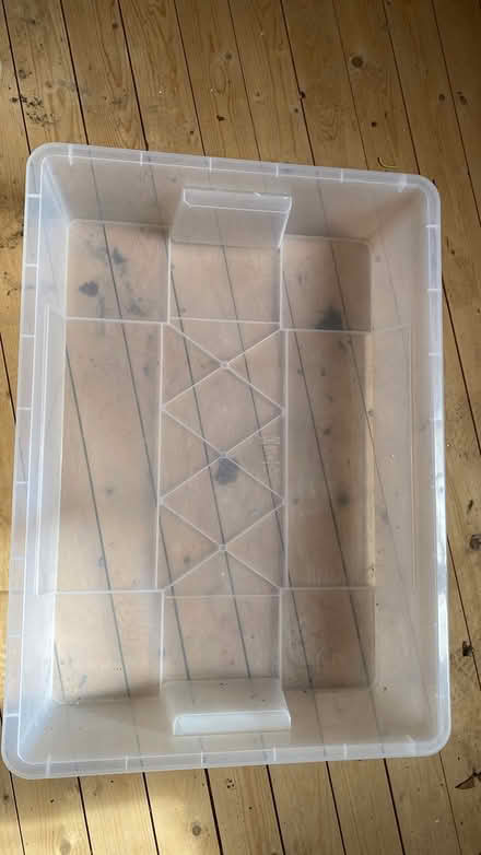 Photo of free Under bed storage box (Mill Lane crowborough TN6) #3