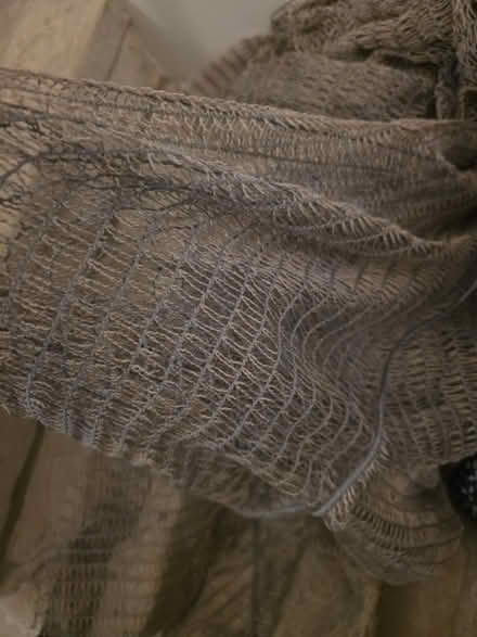 Photo of free Mesh curtains (Sw7 5qx) #1